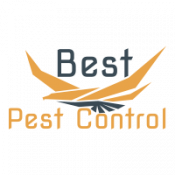 Best Pests Control Services Nairobi Kenya